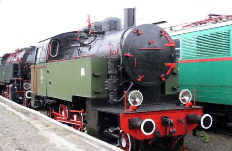 The dark green steam locomotive with red trim is standing on the tracks; it is a model with a rounded chimney and the characteristic set of drive rods by the wheels. The locomotive has numerous reflective elements and white bands on the front end. Next to it, you can see part of another railway vehicle in green and red.