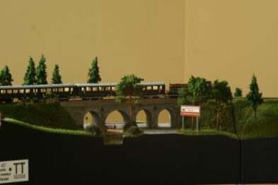 Makieta przedstawia miniaturowy model kolejowy z pociągiem przejeżdżającym przez kamienno-cementowy wiadukt o kilku przęsłach. Obok torów rosną drzewa i krzewy, które nadają scenie realistyczny charakter. W tle widoczna jest jednolita, beżowa płaszczyzna stanowiąca tło dla ekspozycji.