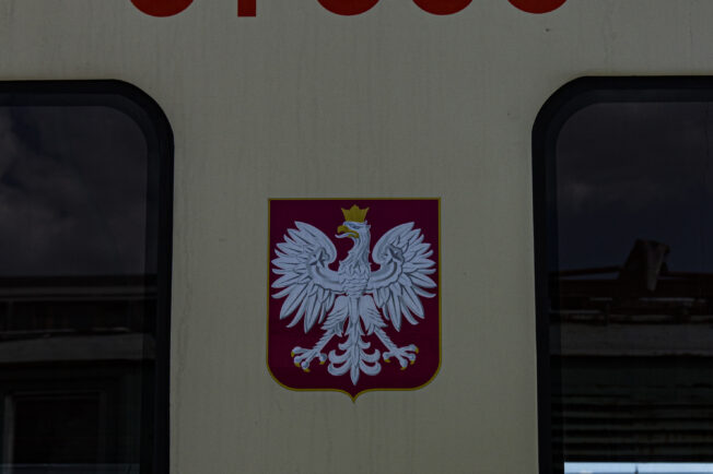 Elektryczny zespół trakcyjny ma numer 91000 wskazujący na jego identyfikację, obok znajduje się herb Polski z białym orłem na czerwonym tle. Poniżej widnieje napis 