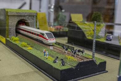 Model pociągu pasażerskiego wychyla się z tunelu na makiecie krajobrazu. Na zielonym terenie obok torów widać miniaturowe postacie ludzi oraz grupę modelowych krów. Elementy sceny ustawione są na podstawie wystawowej, a w tle widoczne są inne eksponaty.