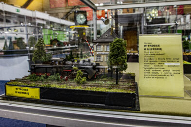 Na ekspozycji prezentowany jest makietowy fragment linii kolejowej z miniaturową lokomotywą stojącą na torach przed niewielkim dworcem. Wokół są zminiaturyzowane elementy infrastruktury, w tym drzewa i krzewy, dodające realizmu scenie. Świetlne i opisowe tabliczki dostarczają informacji na temat prezentowanej dioramy.