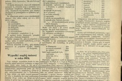 Prezentowana strona zawiera tekst i tabele w starym formacie, typowe dla dokumentów z drugiej połowy XIX wieku. Kolumny danych są wypełnione liczbami i słowami, co wskazuje na rejestrację informacji lub statystyk. Dokument jest starannie zachowany, co umożliwia czytanie jego zawartości.
