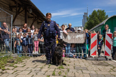Grupa dzieci stoi za barierkami i obserwuje pokaz policjanta w mundurze, który trzyma na smyczy psa. W tle widać zielone drzewa i fragment budynku. Dzieci wydają się być zainteresowane tym, co prezentuje funkcjonariusz z czworonogiem.