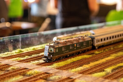 Model pociągu elektrycznego przejeżdża przez makiety kolejowe, przedstawiając scenę z życia kolei. Lokomotywa ciągnie za sobą wagony pasażerskie na tle realistycznie odwzorowanej roślinności i taboru kolejowego. Sceneria jest starannie dopracowana, by przypominała typowy krajobraz przytorowy.