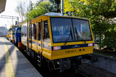 Dwa żółto-niebieskie szynobusy stoją na peronie stacji kolejowej w słoneczny dzień. Przednia część pierwszego pojazdu jest wyposażona w duże okna panoramiczne i reflektory. Peron jest pusty, a w tle widoczne są zadrzewione obszary.