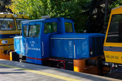 Na pierwszym planie stoi niebieska lokomotywa spalinowa oznaczona numerami i literami w białym kolorze. Obok lokomotywy widoczne są żółte pojazdy kolejowe ustawione wzdłuż peronu. Tło tworzy zielone drzewo i jasny niebuskłon, sugerując pogodny dzień.
