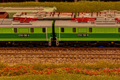 Model pociągu w skali H0 przedstawia zielony elektrowóz osobowy, stojący na torach modelarskich. Po bokach elektrowozu widoczne są symulowane kable i detale techniczne. Obok taboru roztacza się kolorowa, modelowa łąka z czerwonymi kwiatami.