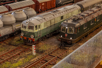 Modele kolejowe lokomotyw stoją na makietach torów obok siebie, otoczone modelami wagów towarowych. Torowisko jest szczegółowe, z naśladownictwem żwiru i trawy pomiędzy szynami. Modele wykazują wysoki stopień szczegółowości, odwzorowując różne typy lokomotyw i wagonów.
