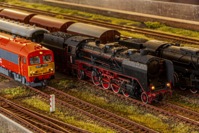Model pociągu w skali H0 przedstawia czerwoną lokomotywę spalinową ciągnącą pasażerskie wagony, obok niej na sąsiednim torze stoi czarna lokomotywa parowa z towarzyszącymi jej wagonami towarowymi. Tory kolejowe zainstalowano na makiecie pokrytej realistyczną imitacją trawy i żwiru, a całość oddaje szczegółowość i realizm wystawy modelarskiej. Na makiecie widnieją również elementy infrastruktury, takie jak sygn