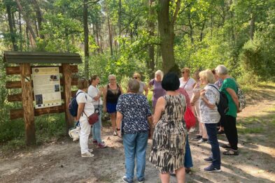 Grupa osób stoi w lesie wokół informacyjnej tablicy, słuchając osoby, która wskazuje na treści na tablicy. Wszyscy są skupieni na prezentowanych materiałach, a otoczenie jest zielone i nasłonecznione. Jest to wycieczka edukacyjna dla seniorów w naturalnym, leśnym środowisku.